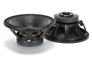 LF18X451 Subwoofer  RCF